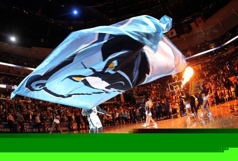 葵花籽脱蜡生产线