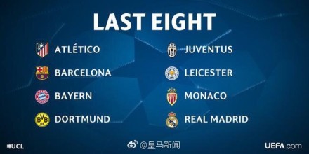 动物油熬炼设备