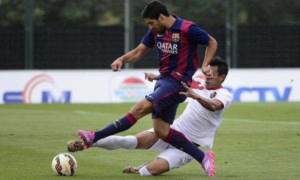 小规模的茶籽油生产线